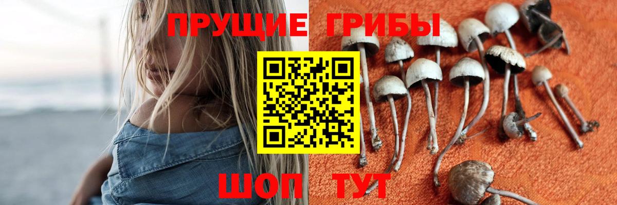 Галлюциногенные грибы мухоморы Новокузнецк